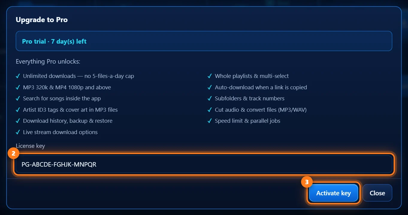The Upgrade to Pro window with a key entered and the Activate key button circled